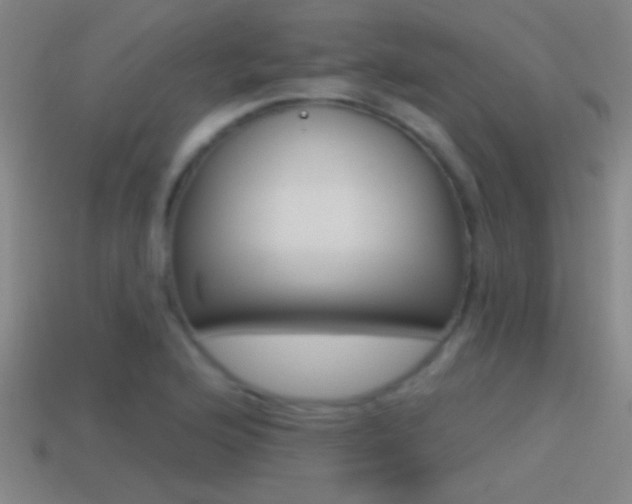 X0000114571176200910191027