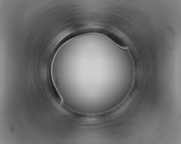 X0000114571177200910191027