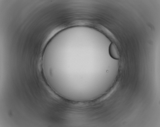 X0000114571178200910191027