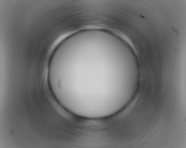 X0000114571179200910191027