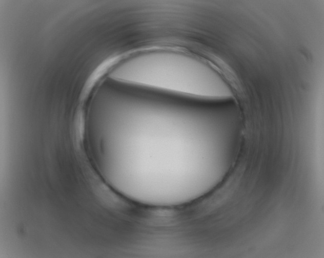 X0000114571180200910191027