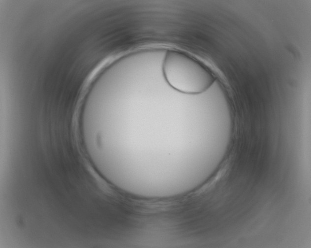 X0000114571181200910191027