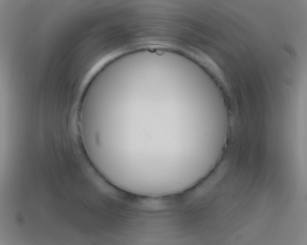 X0000114571182200910191027