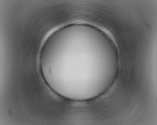 X0000114571183200910191027