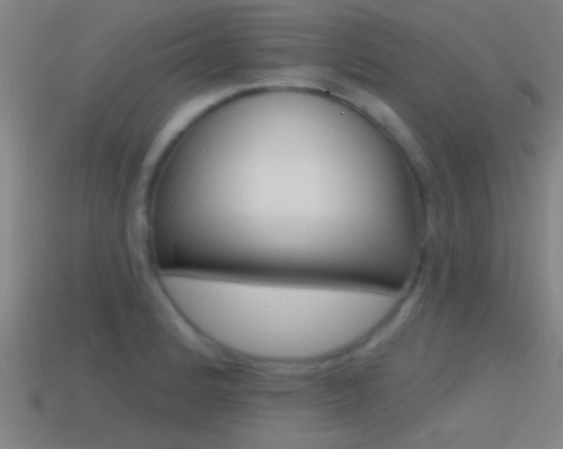 X0000114571184200910191027
