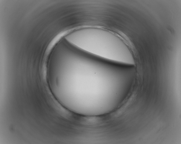X0000114571188200910191027