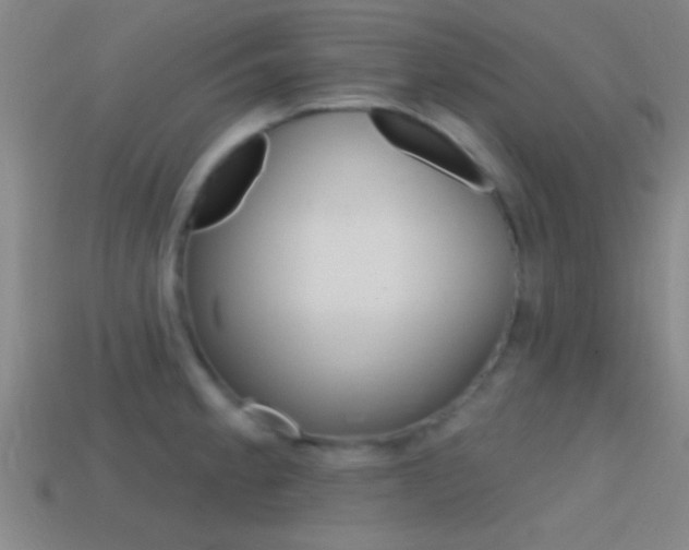 X0000114571189200910191027