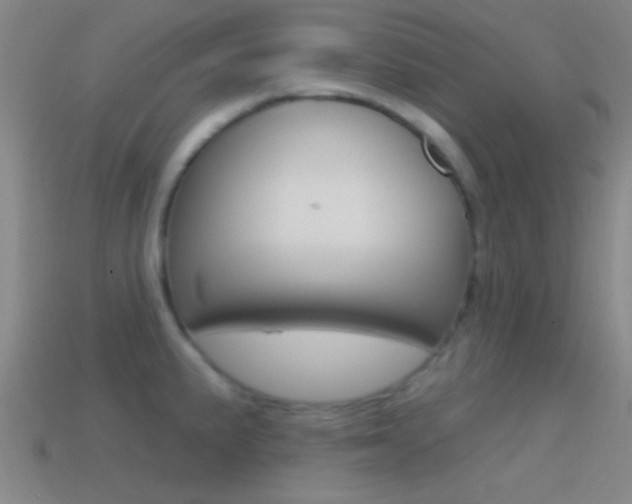 X0000114571191200910191027