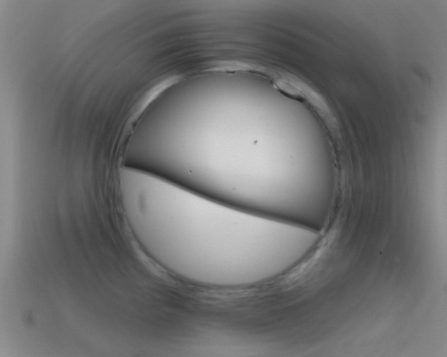 X0000114571193200910191027