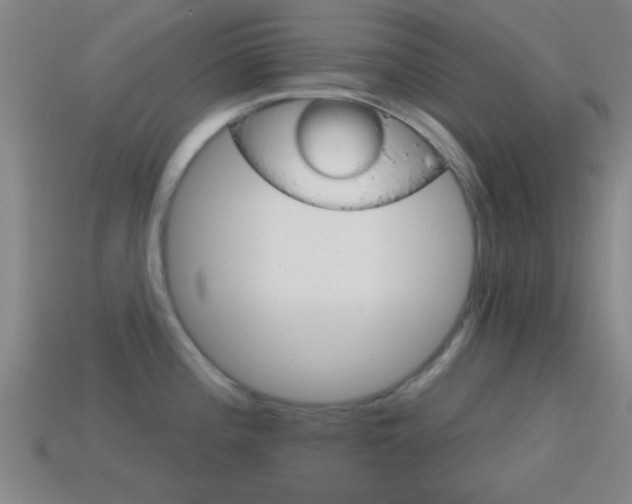 X0000114571196200910191027
