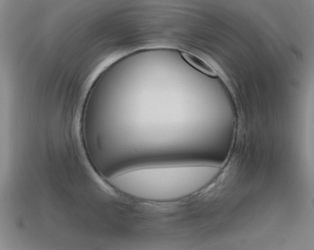 X0000114571197200910191027