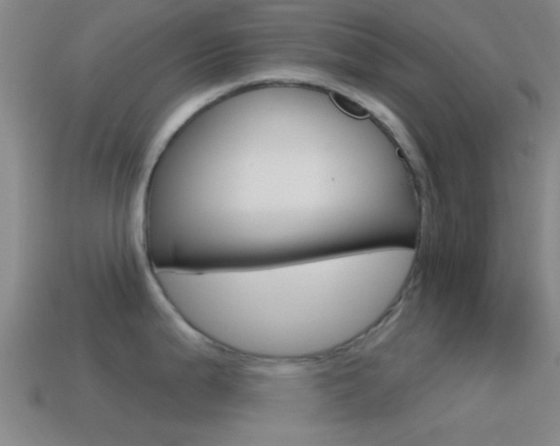 X0000114571199200910191027