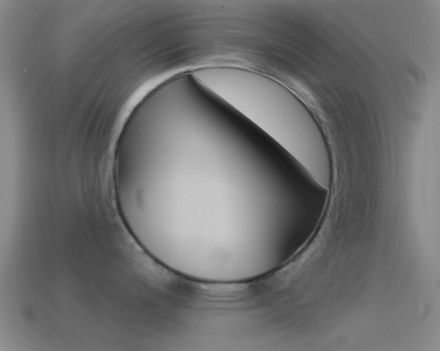 X0000114571200200910191027