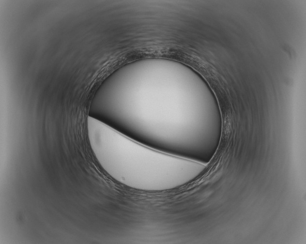 X0000114571202200910191026