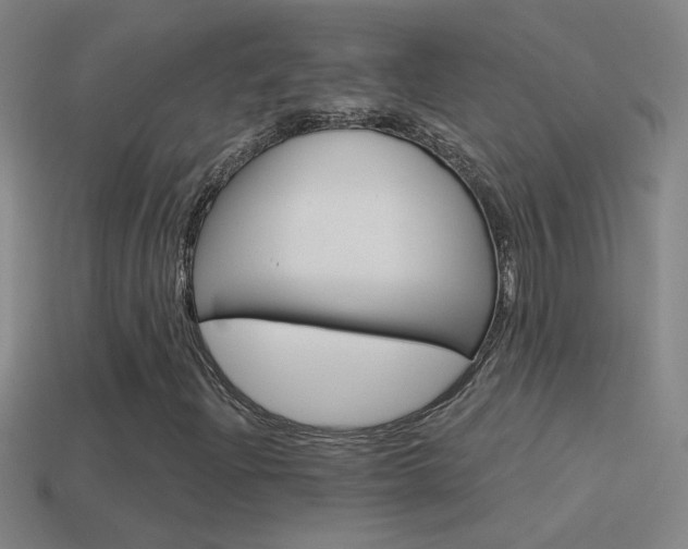 X0000114571204200910191026
