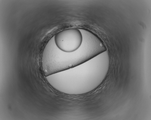 X0000114571205200910191026