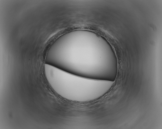 X0000114571206200910191026