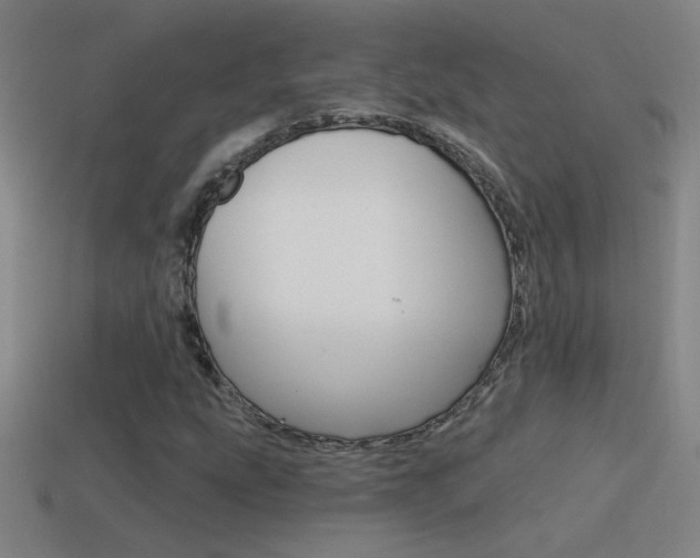 X0000114571207200910191026