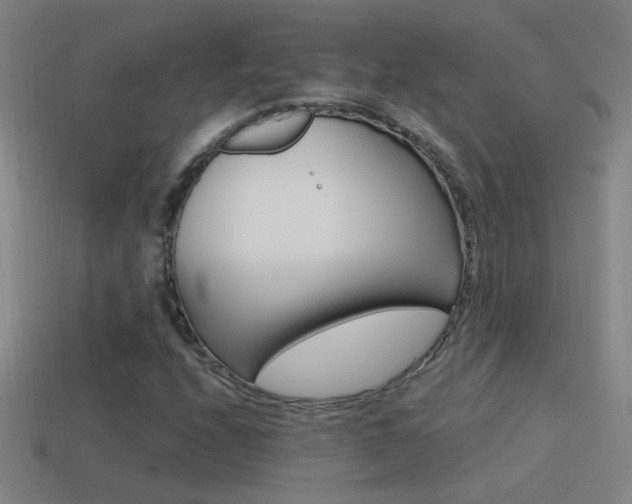 X0000114571208200910191026