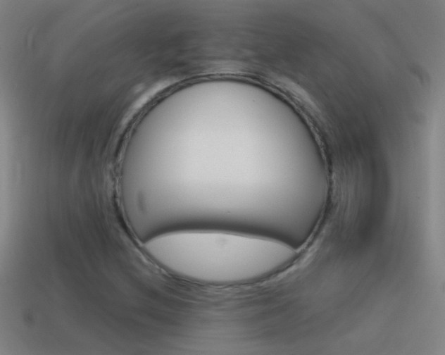 X0000114571212200910191026