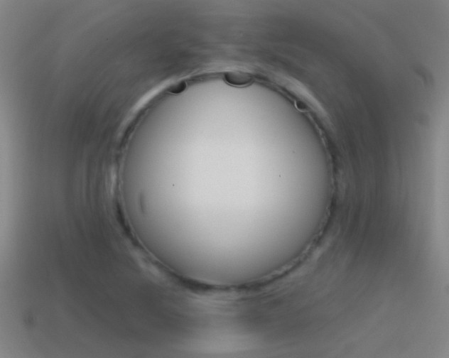 X0000114571220200910191026