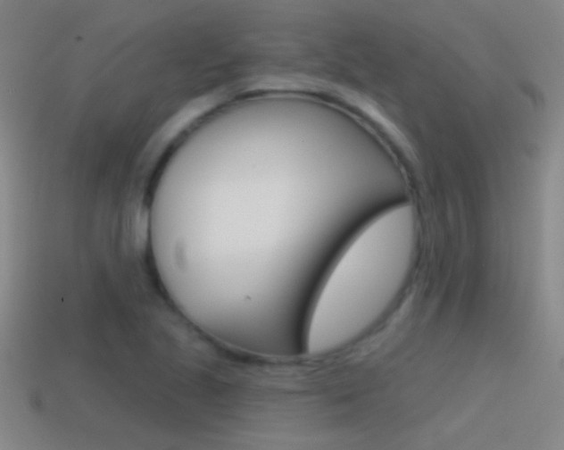 X0000114571221200910191026