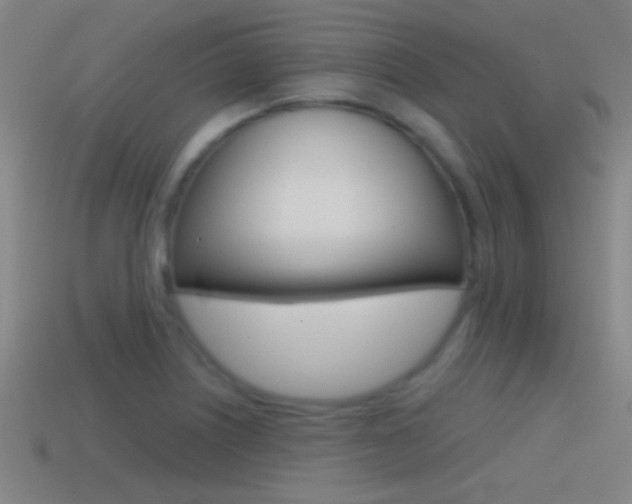 X0000114571226200910191026