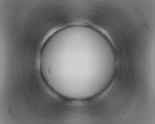X0000114571227200910191026