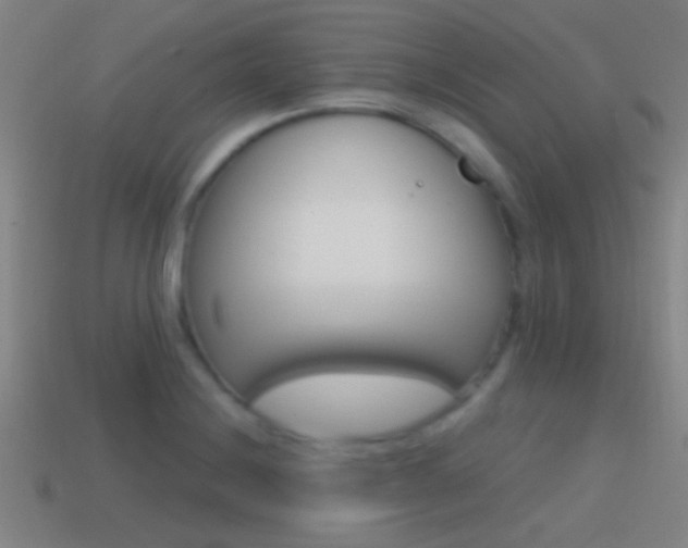 X0000114571228200910191026