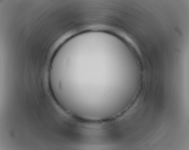 X0000114571229200910191026