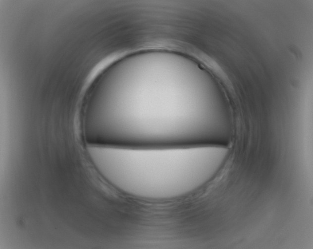 X0000114571230200910191026