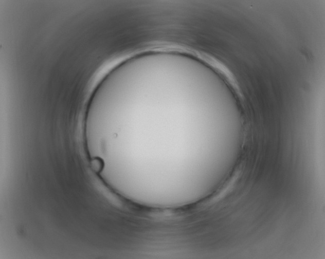 X0000114571231200910191026