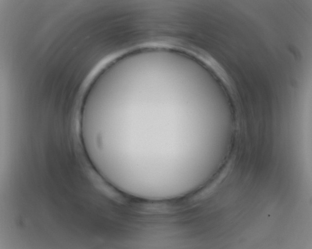 X0000114571232200910191026