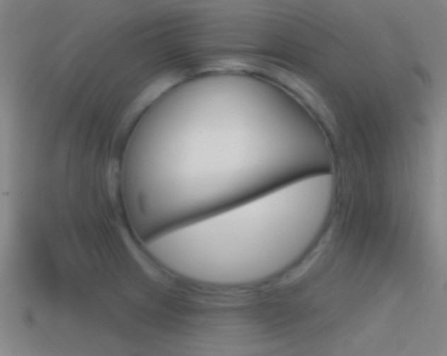 X0000114571233200910191026