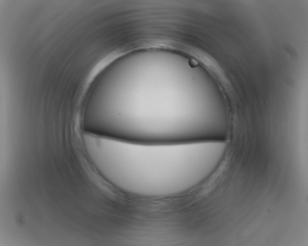 X0000114571234200910191026