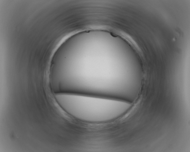 X0000114571236200910191026