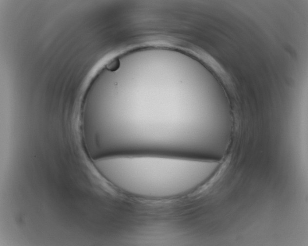 X0000114571240200910191026