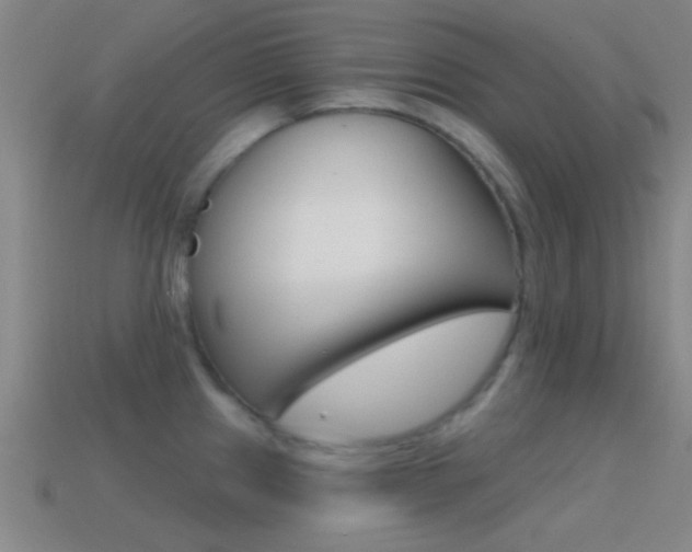 X0000114571241200910191026
