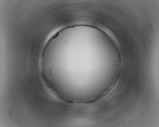 X0000114571242200910191027