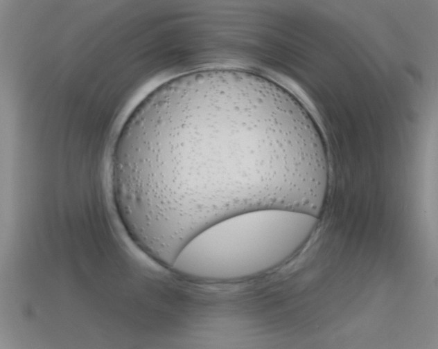 X0000114571243200910191027