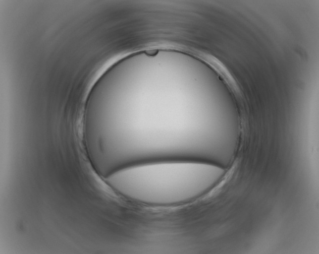 X0000114571244200910191027