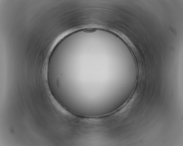 X0000114571246200910191027