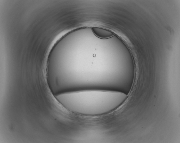 X0000114571248200910191027