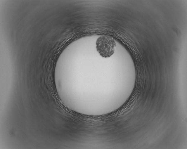 X0000114571249200910191026