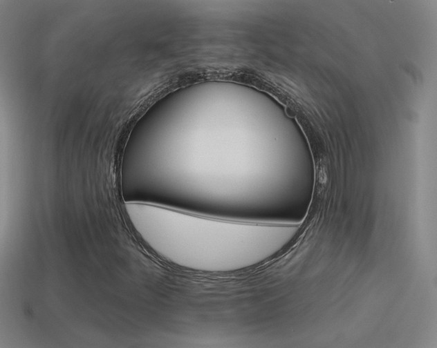 X0000114571252200910191026