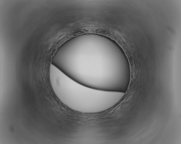 X0000114571253200910191026
