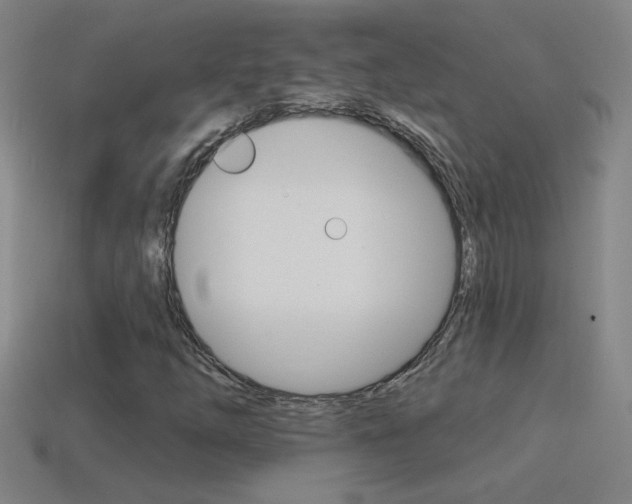 X0000114571254200910191026