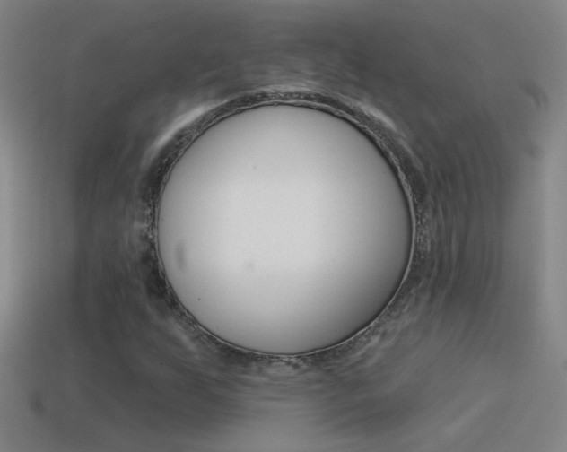 X0000114571255200910191026