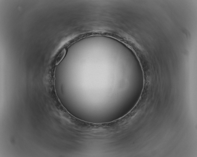 X0000114571256200910191026