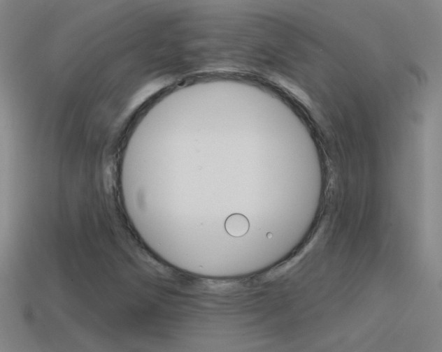 X0000114571258200910191026